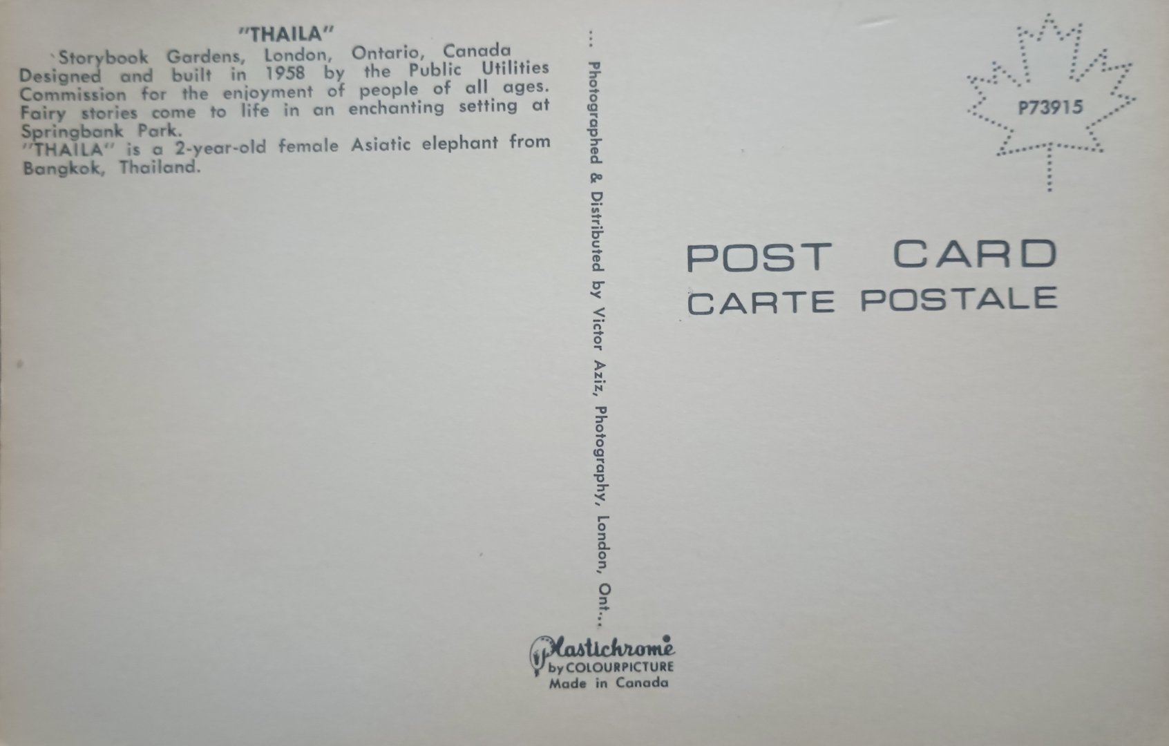 Reverse Story Book Gardens Baby Elephant