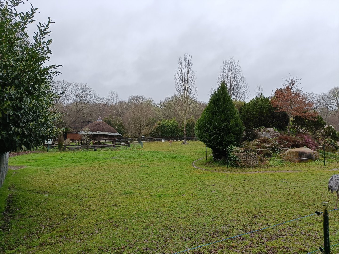 Rhea and guanaco exhibit -Marcelle Naturaleza