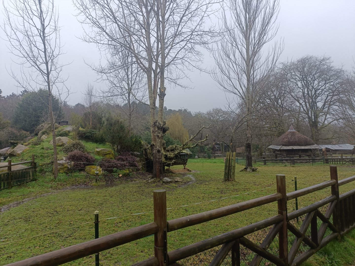 Rhea and guanaco exhibit -Marcelle Naturaleza