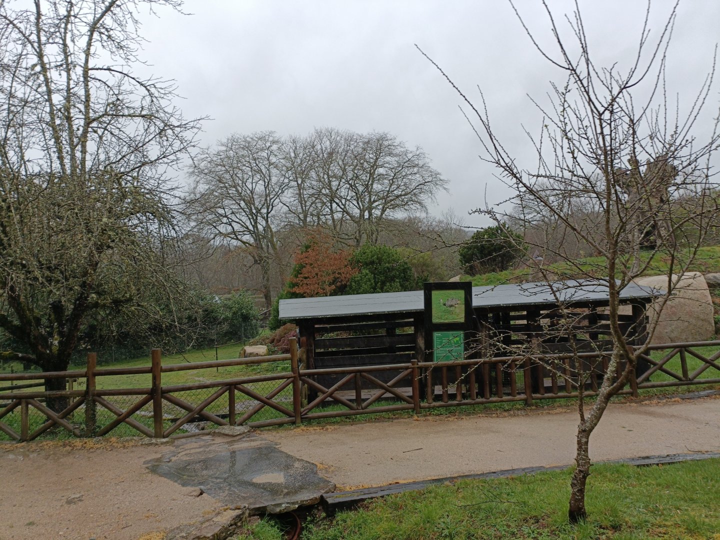 Rhea and guanaco stable -Marcelle Naturaleza