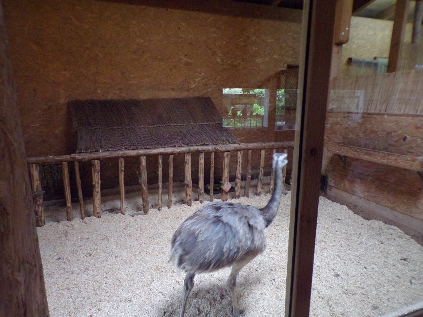 Rhea and mara indoors 13.7.25