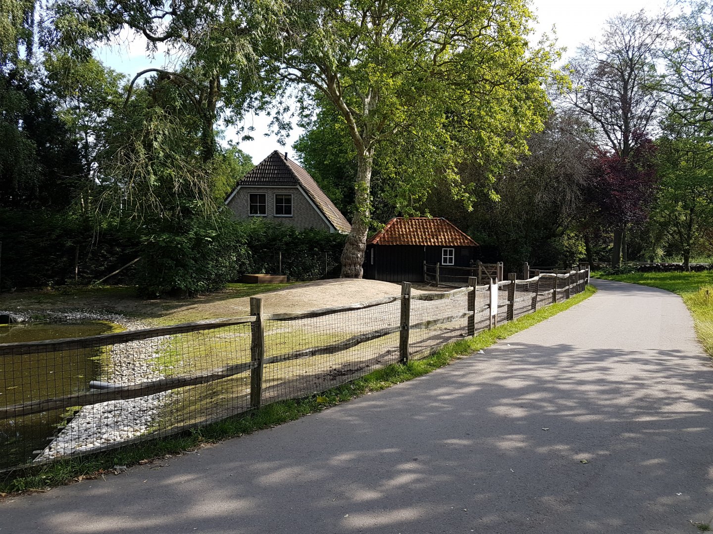 Rhea and Patagonian cavy-enclosure