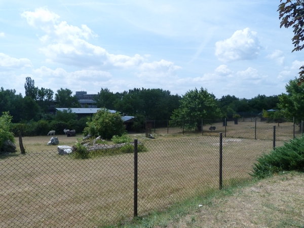 Rhea, crane and Lama enclosure