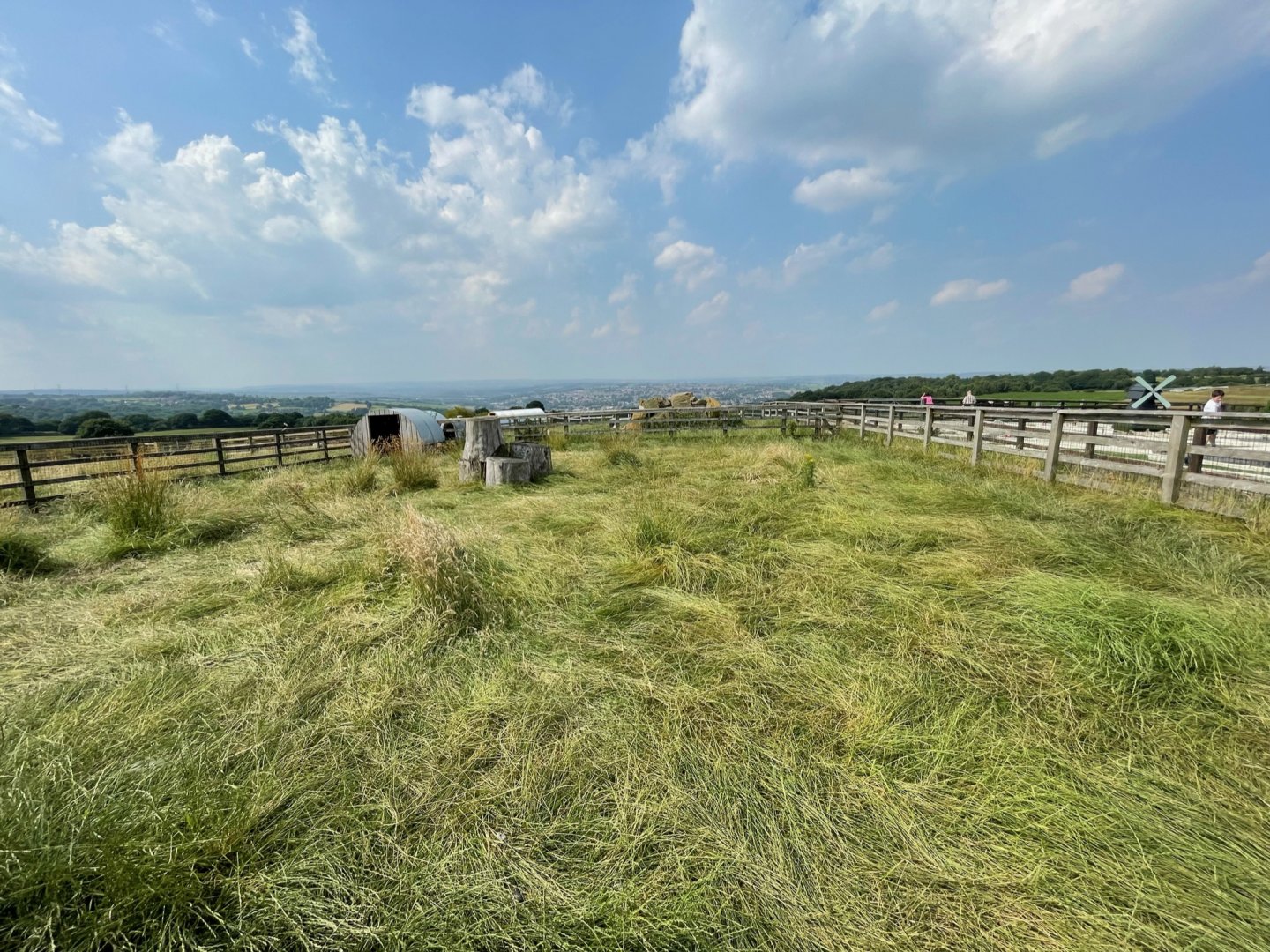Rhea Enclosure at Charlotte's Ice Cream Parlour (July 2021)