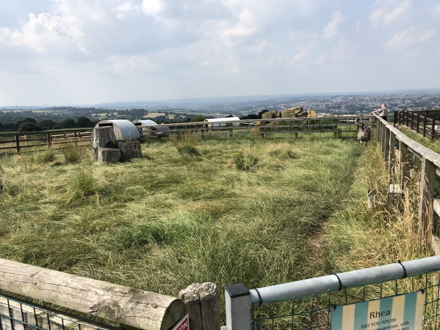 Rhea Enclosure at Charlotte's Ice Cream Parlour (July 2021)