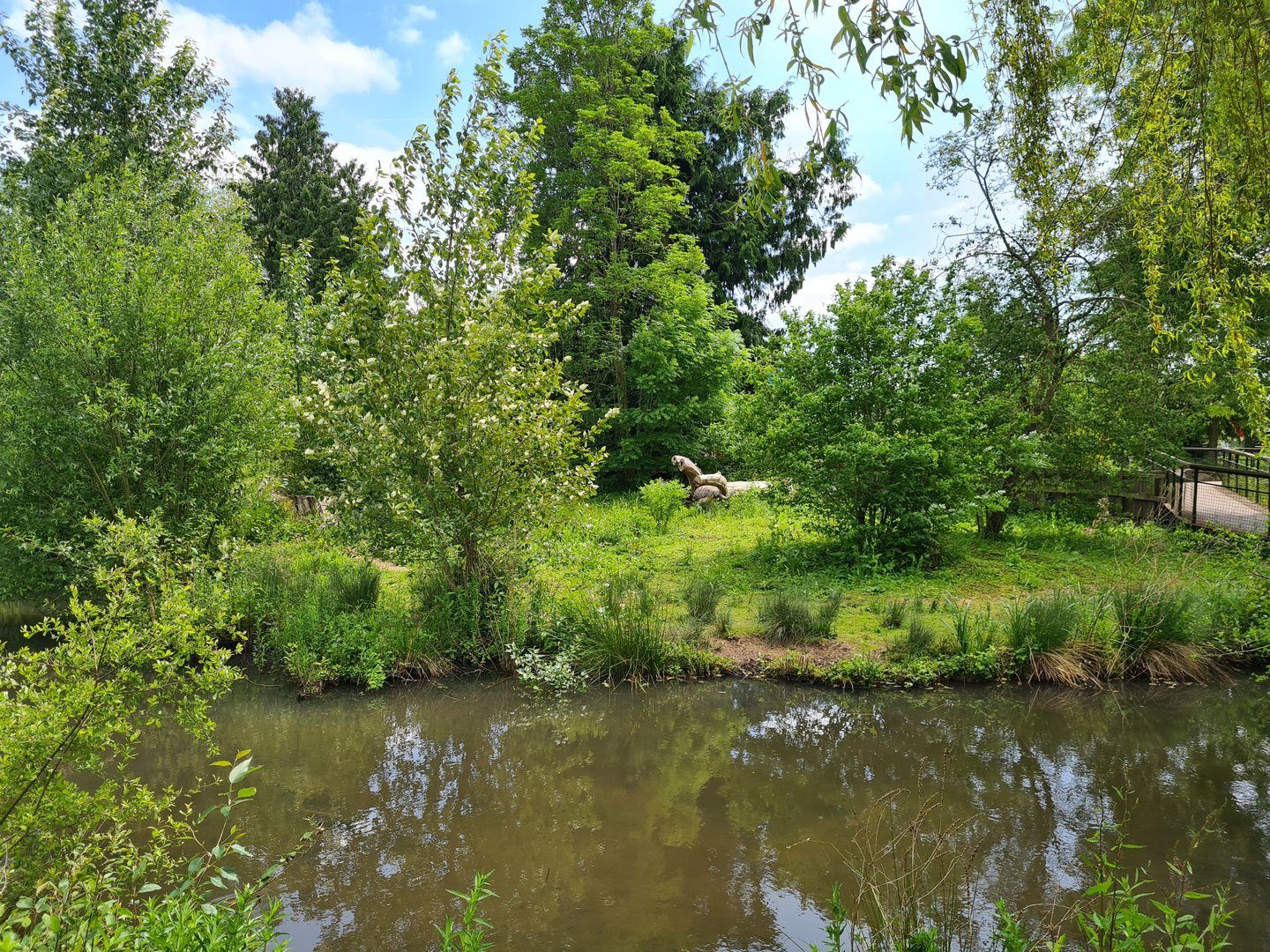Rhea Enclosure, Beale