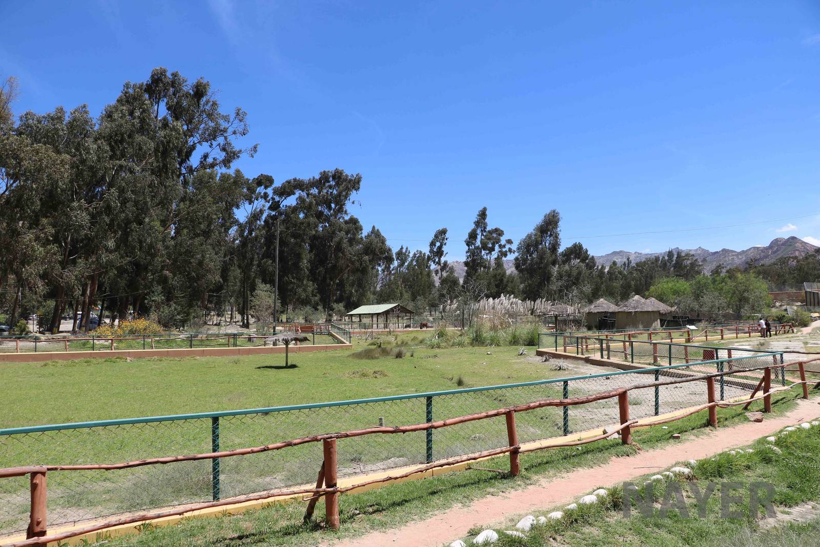 Rhea enclosures, March 2016