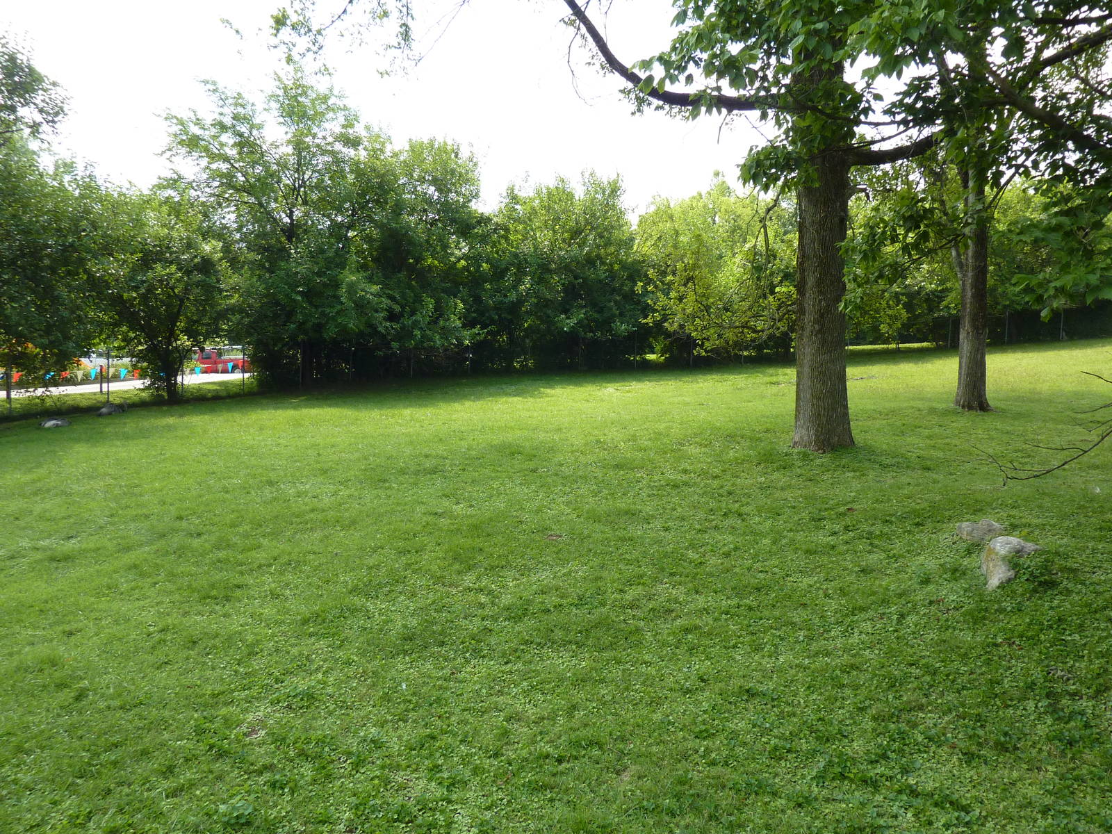Rhea/Guanaco Exhibit