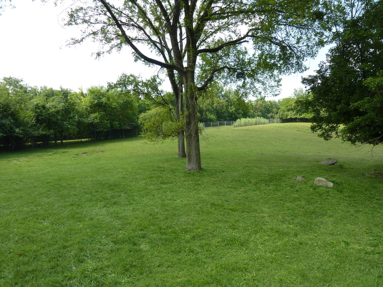 Rhea/Guanaco Exhibit