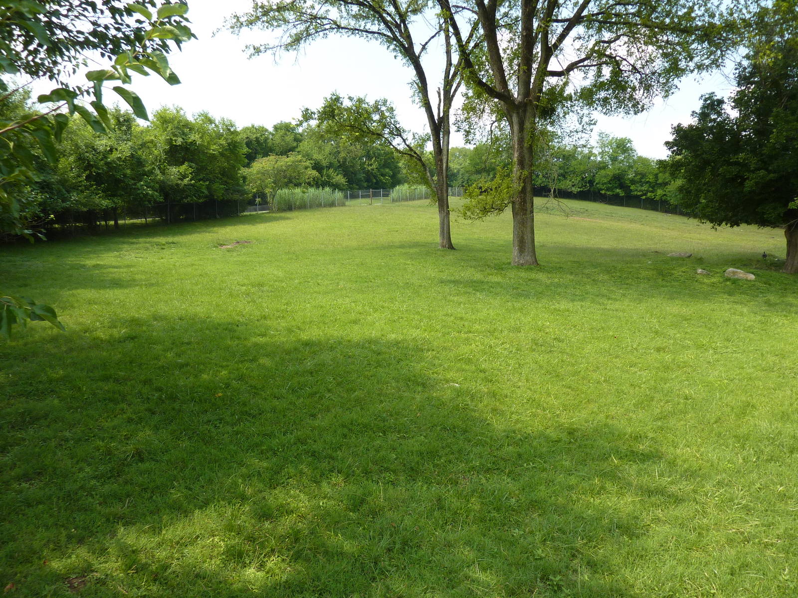 Rhea/Guanaco Exhibit