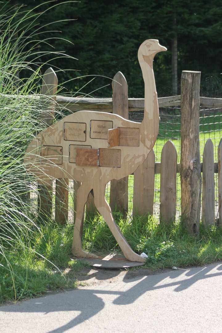 Rhea information-board