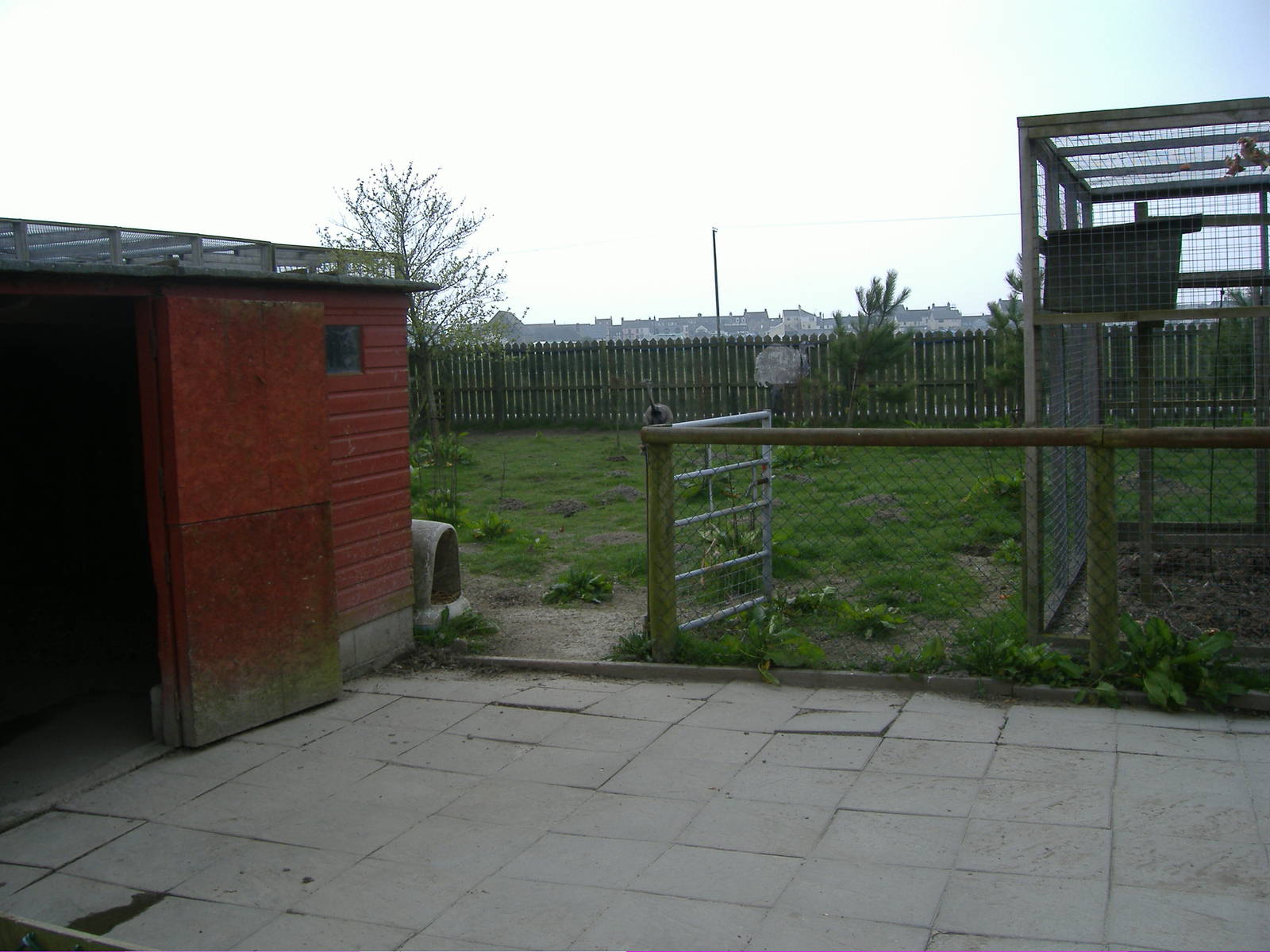 Rhea Paddock Animalarium