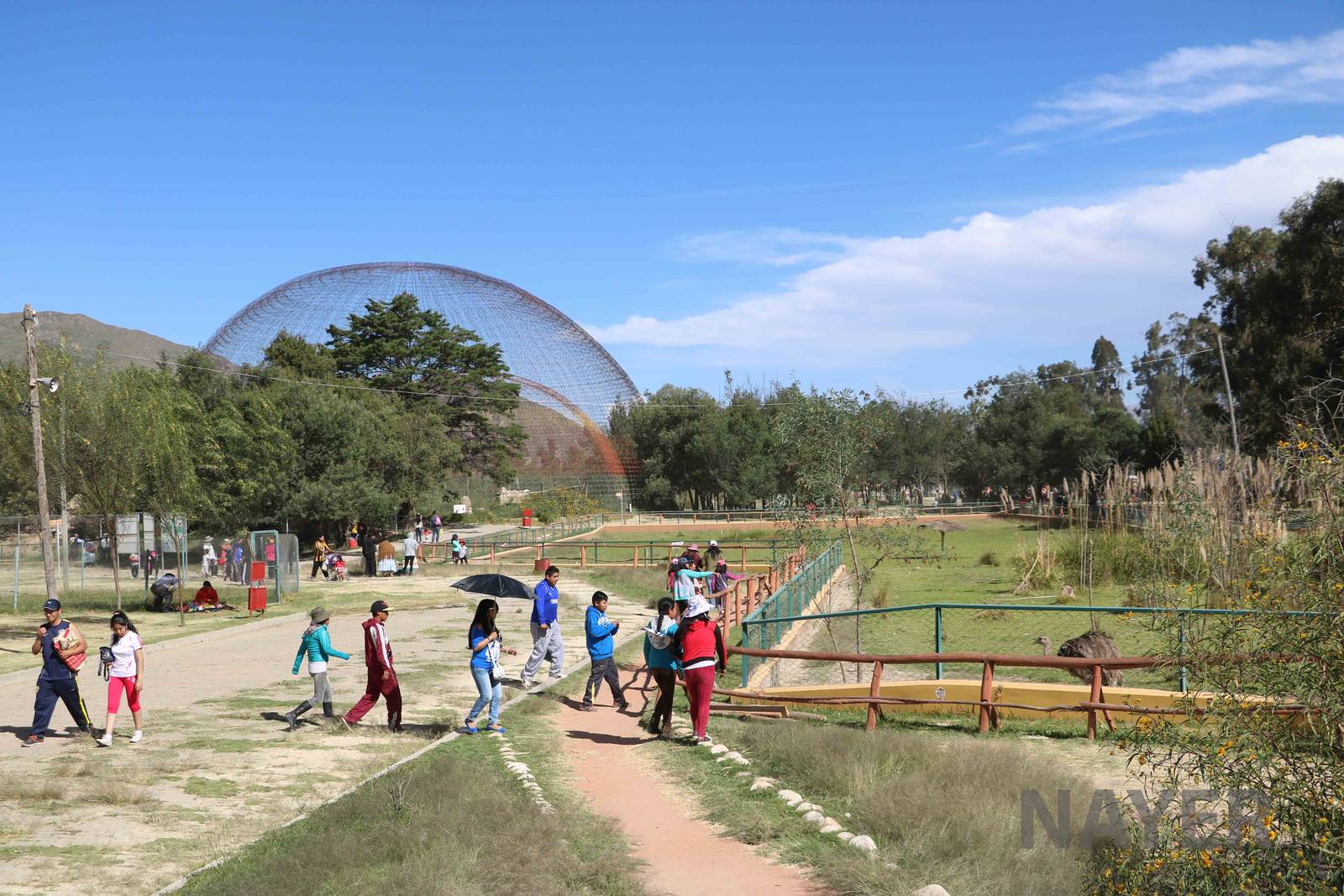 Rheas and giant aviaries, March 2016