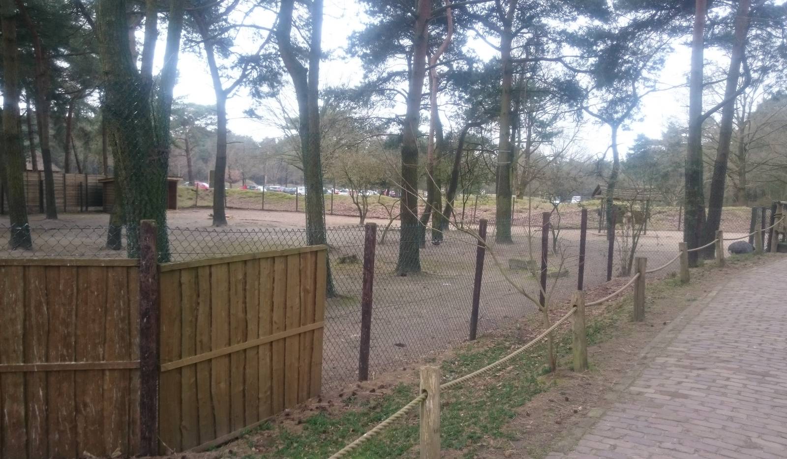Rhen and Guanaco enclosure