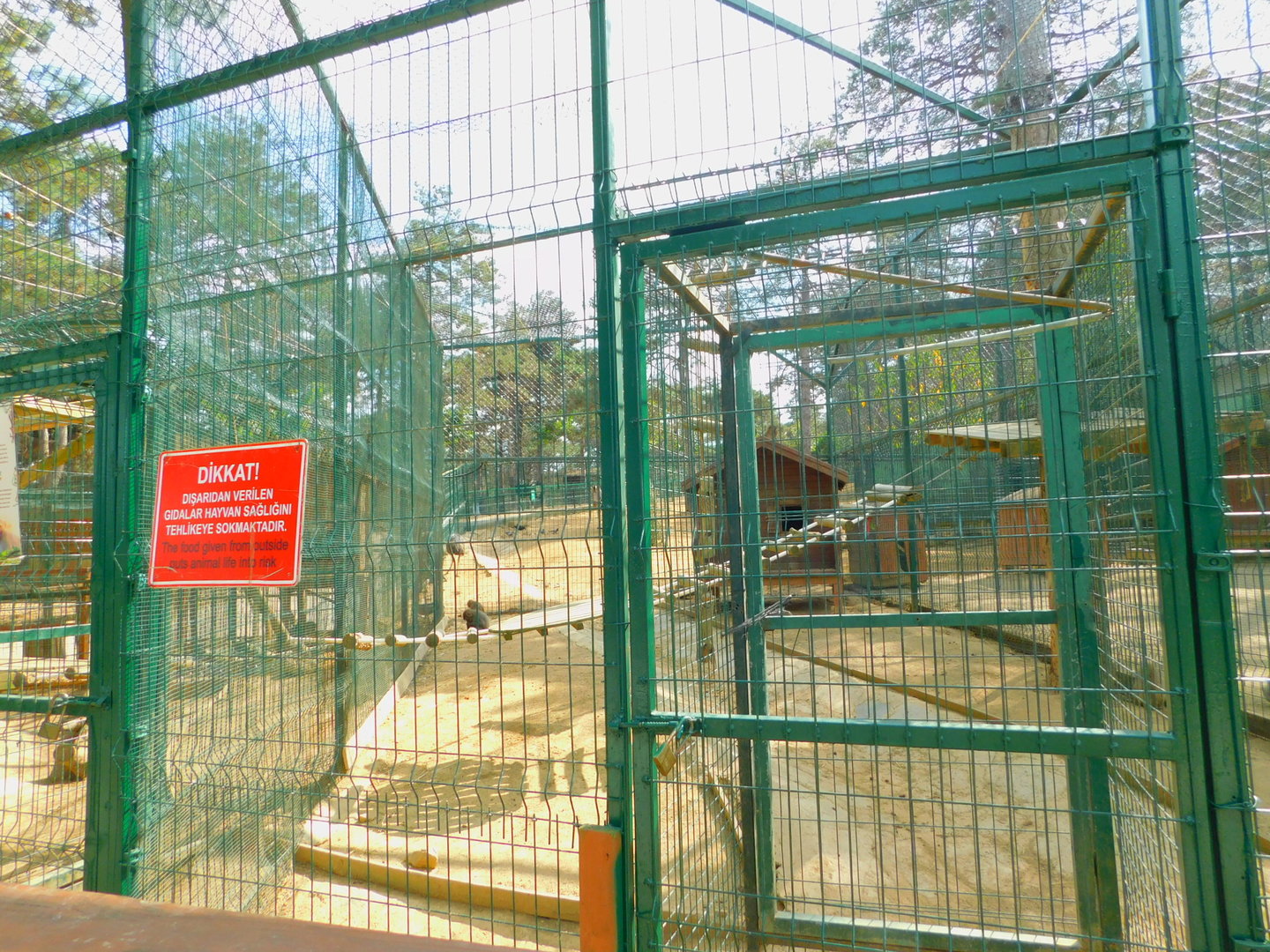Rhesus Macaque Enclosure at Park of Istanbul