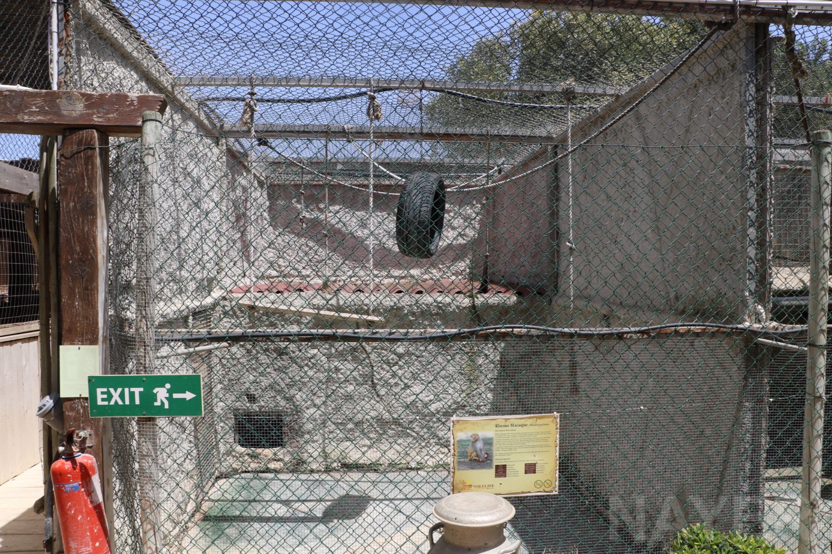 Rhesus macaque enclosure - Wildlife Park Malta, June 2019