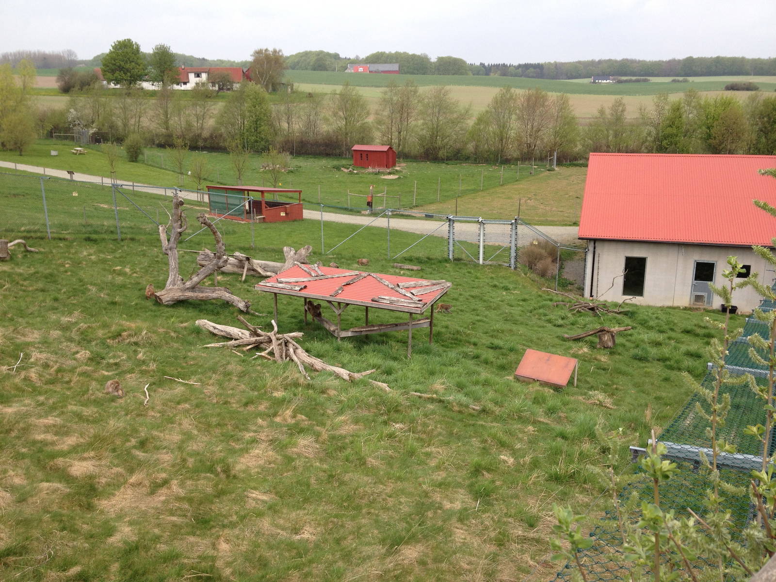 Rhesus macaque enclosure