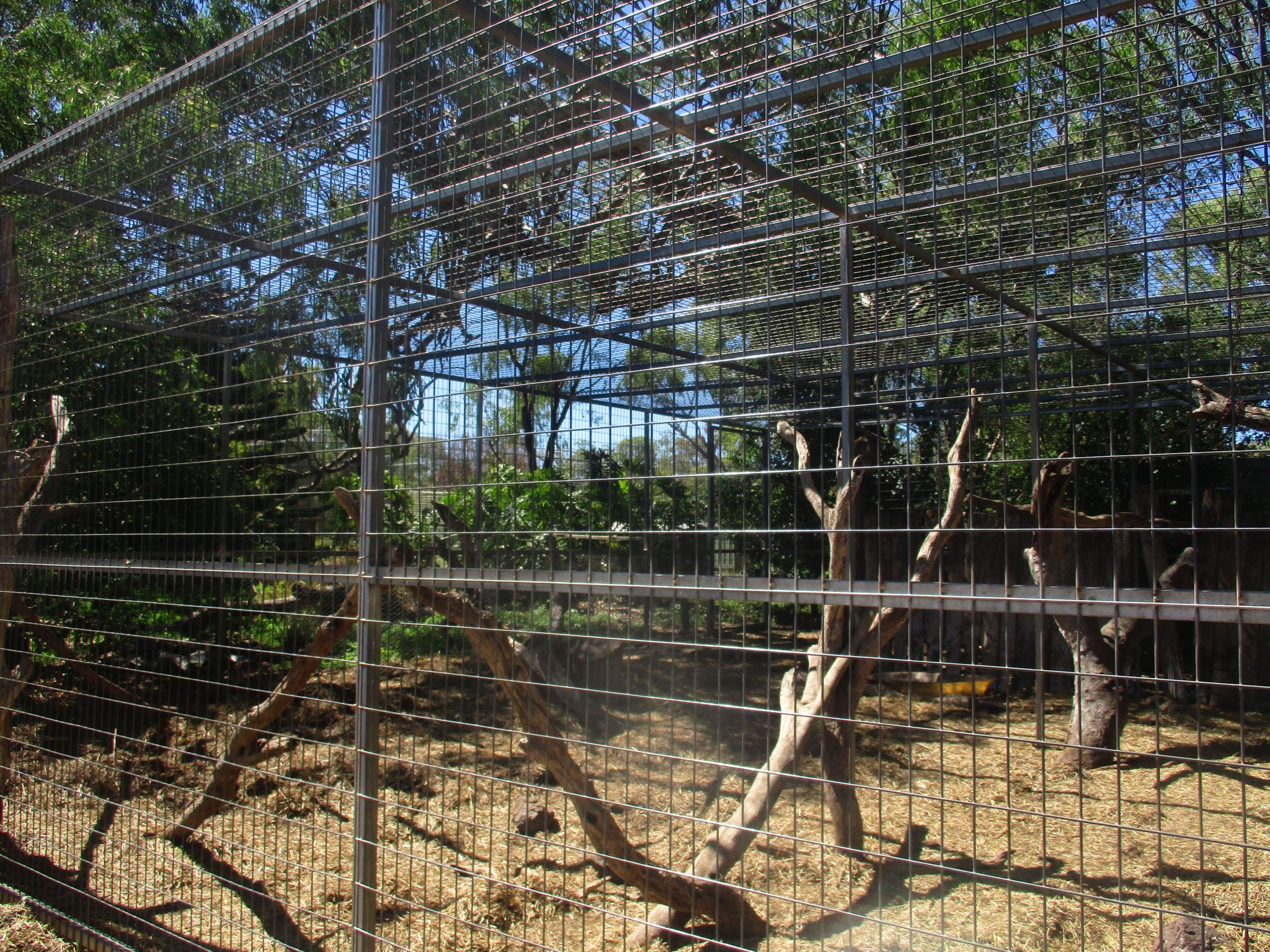Rhesus Macaque Enclosure