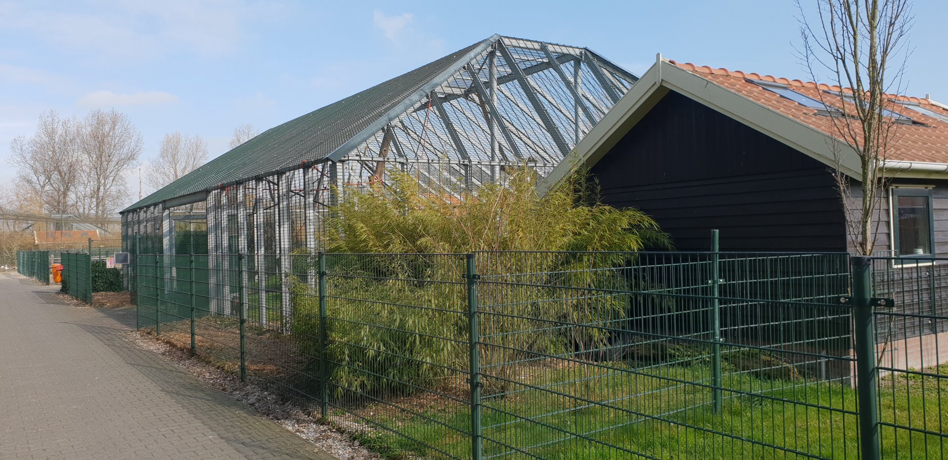 Rhesus macaque - enclosure