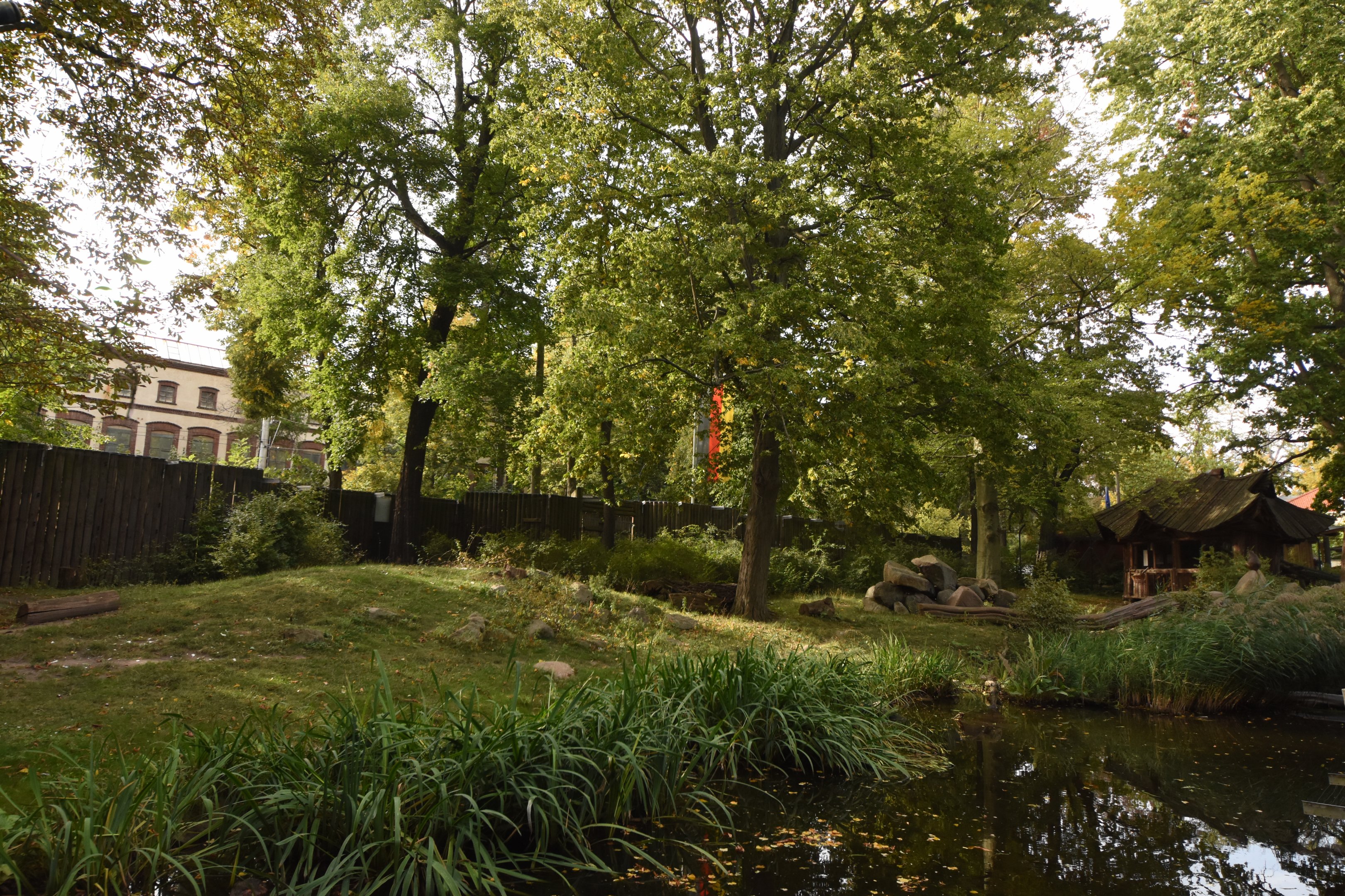 Rhesus macaque enclosure