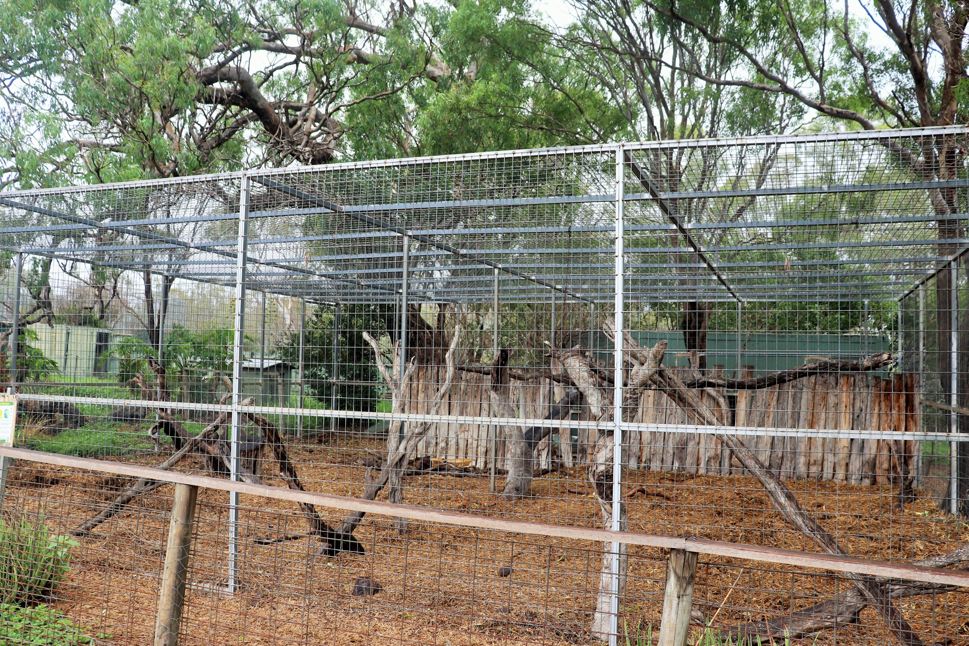 Rhesus Macaque Enclosure