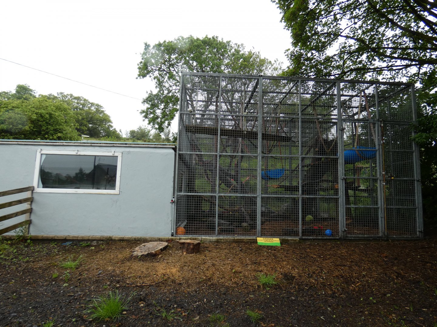 Rhesus macaque enclosure