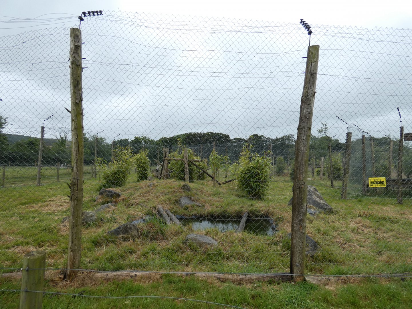 Rhesus macaque enclosure