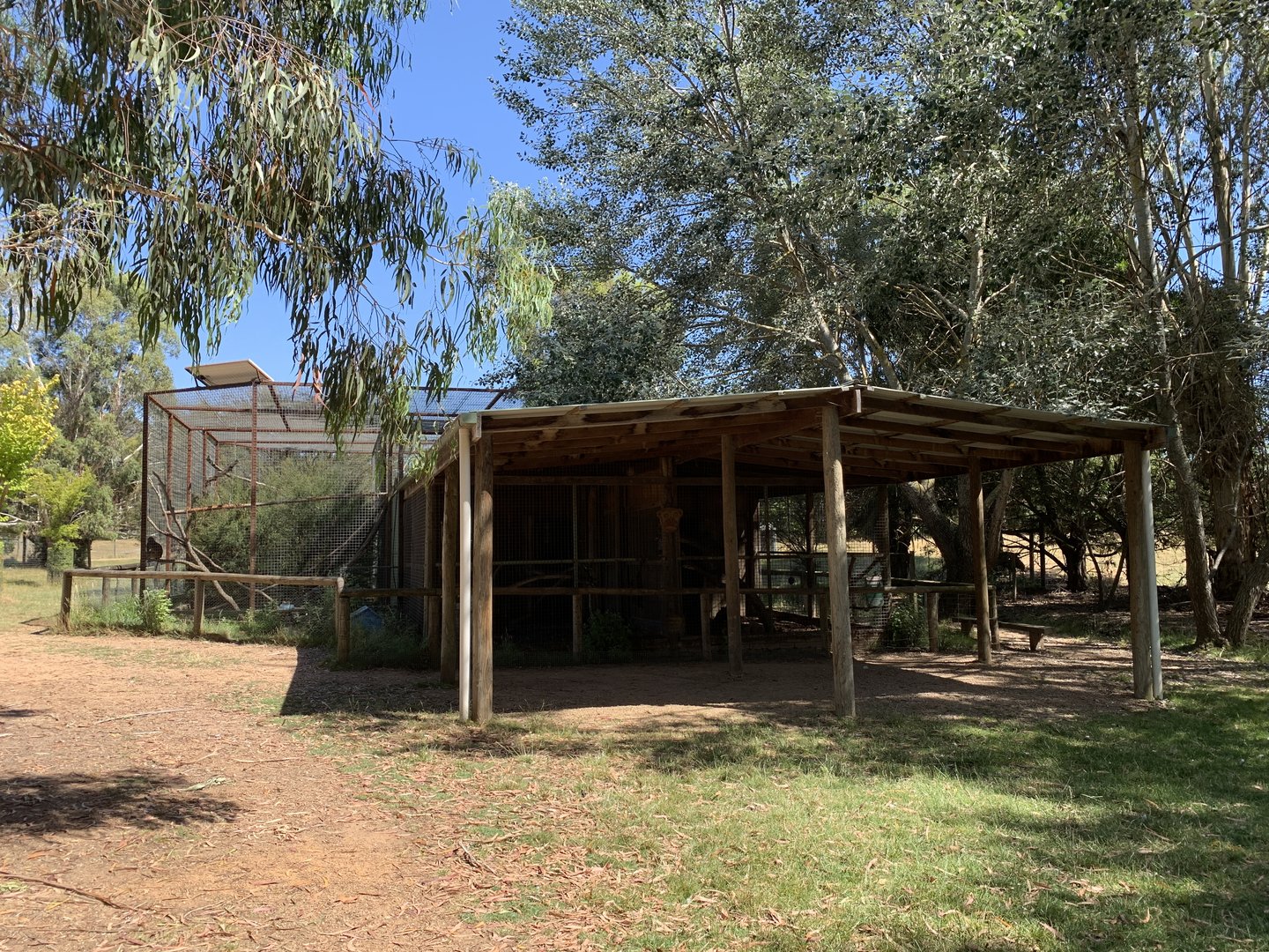 Rhesus Macaque Enclosure