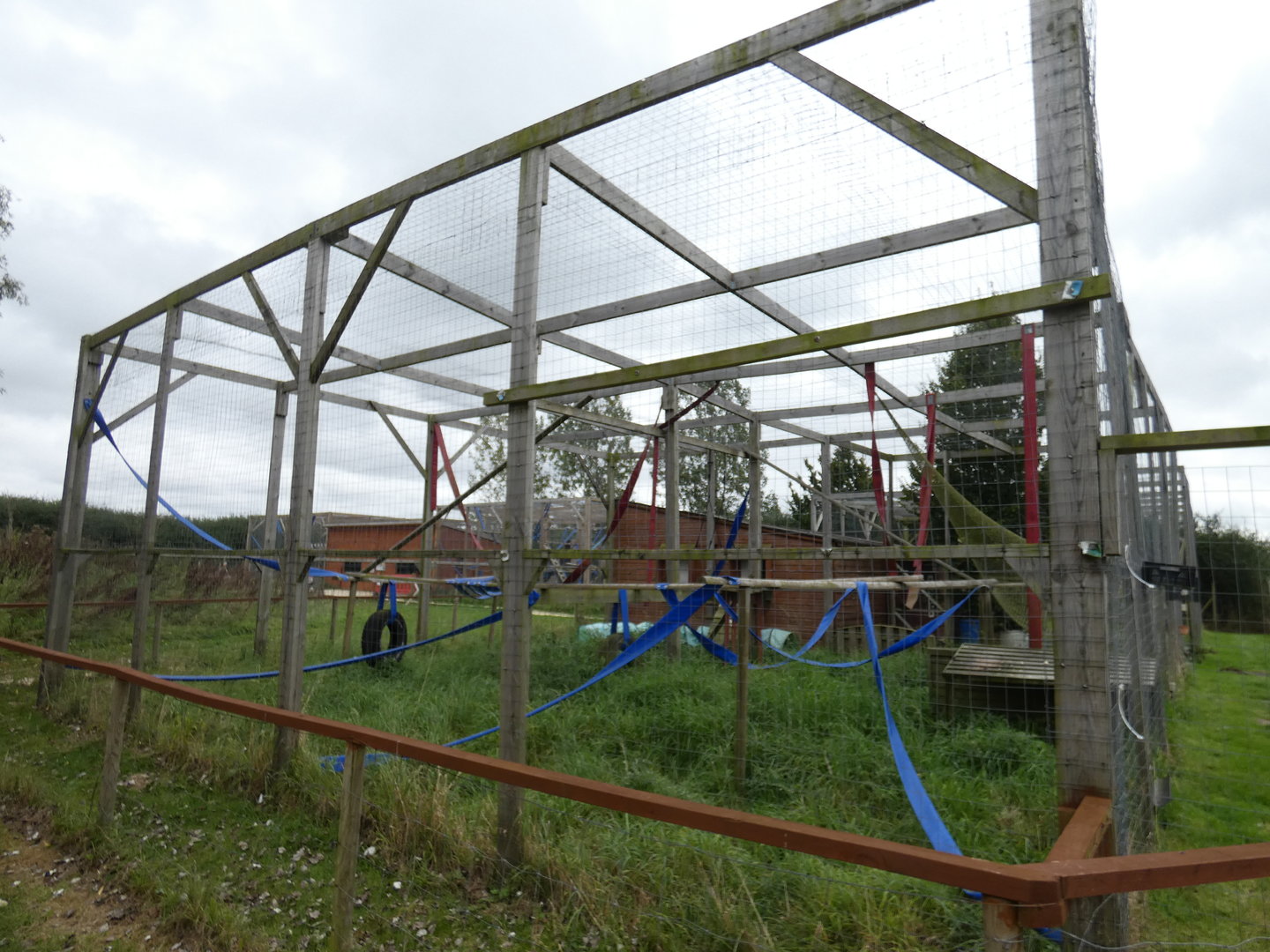 Rhesus macaque enclosure
