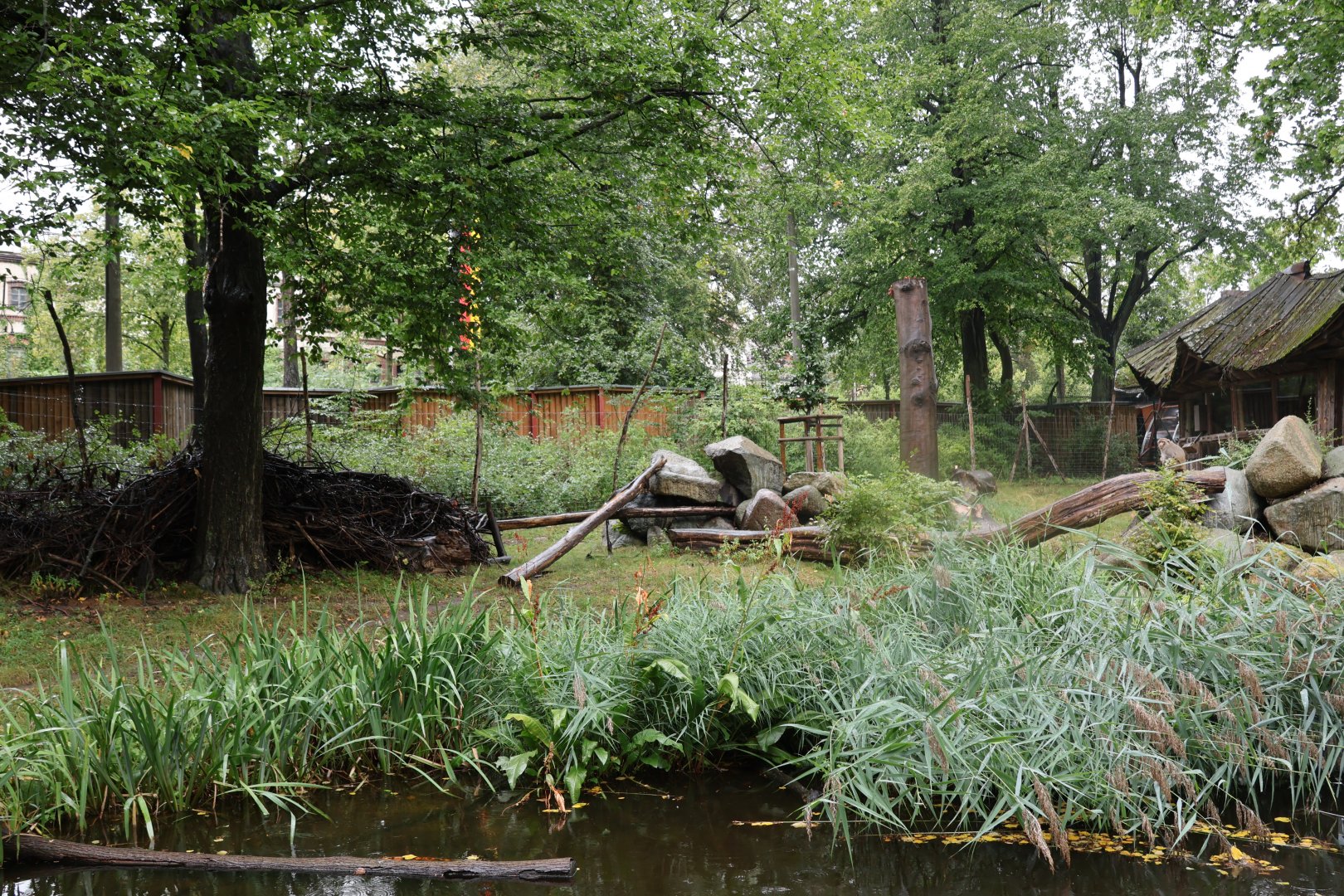 Rhesus Macaque enclosure