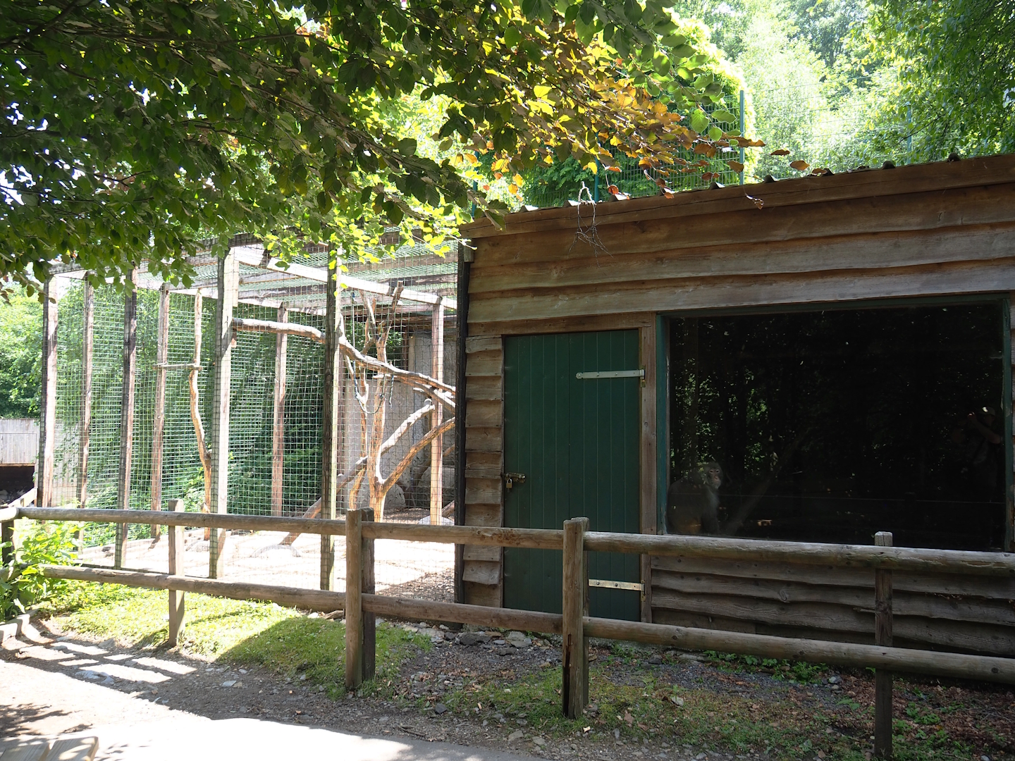 Rhesus macaque exhibit and barn, 2023-06-24