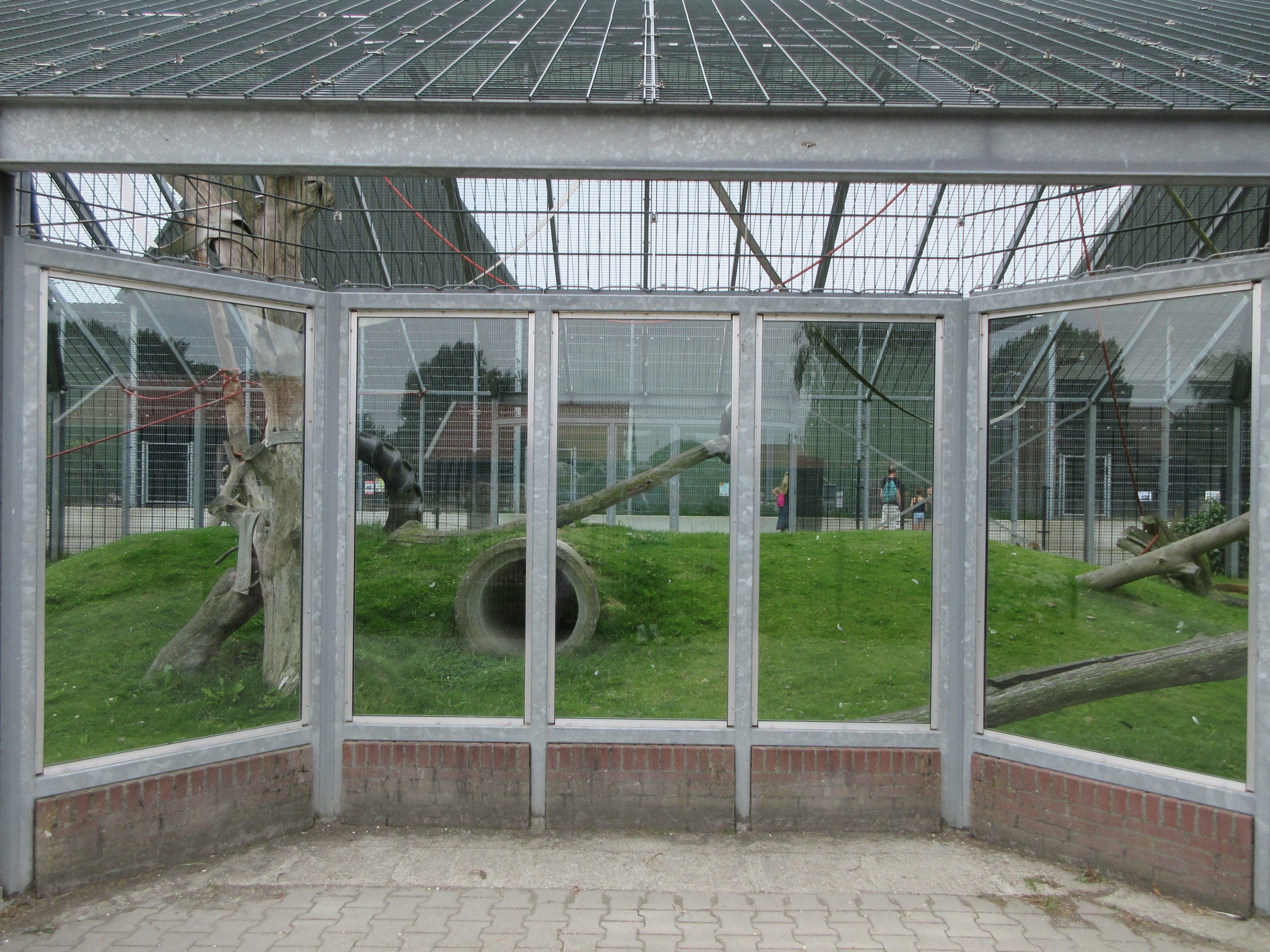 Rhesus Macaque Exhibit