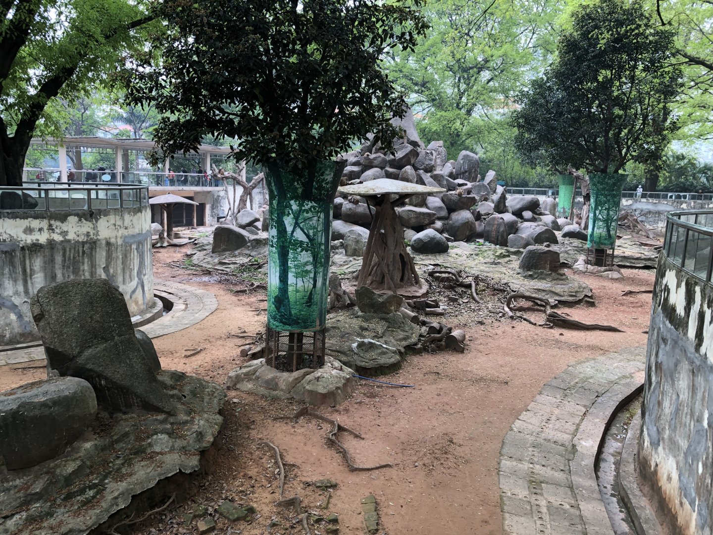 Rhesus Macaque Exhibit