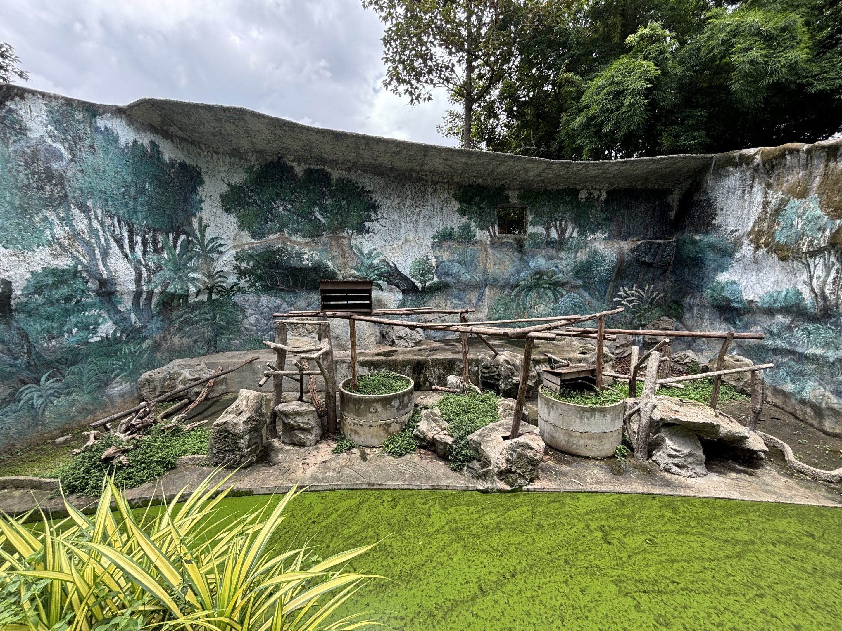 Rhesus Macaque Exhibit