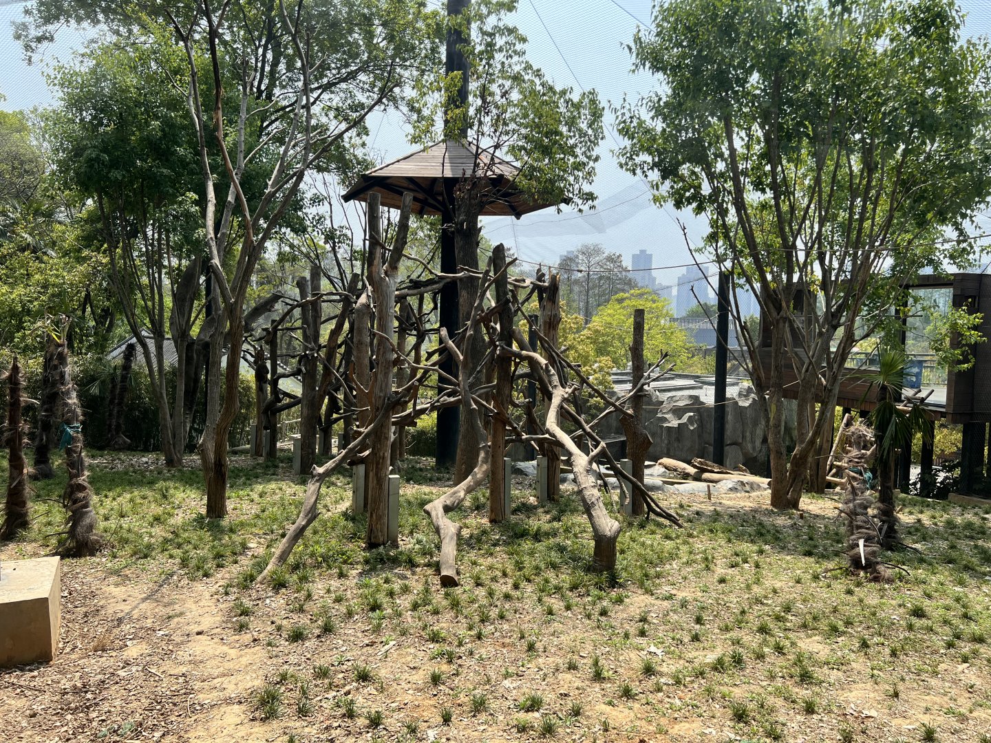 Rhesus Macaque Exhibit