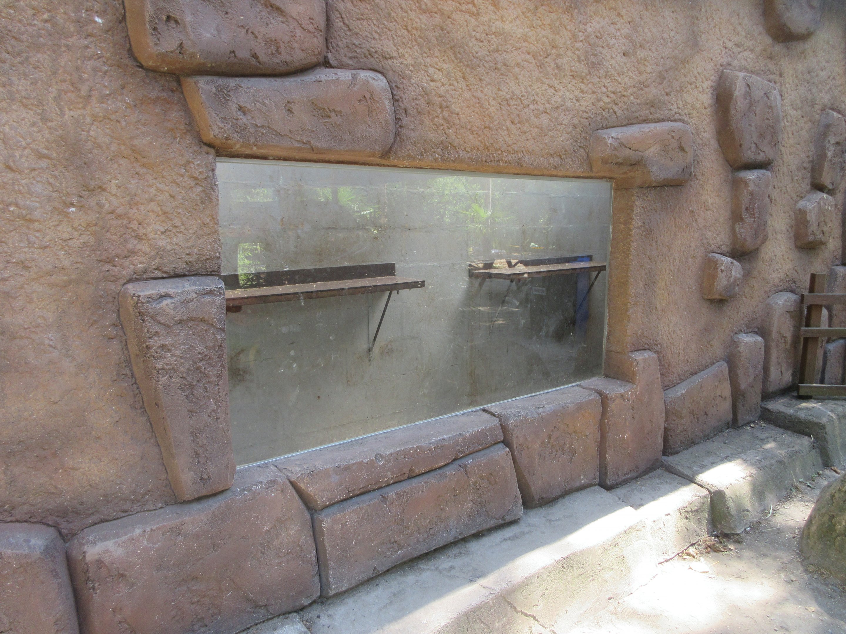 Rhesus Macaque Indoor Exhibit (rather bleak!)