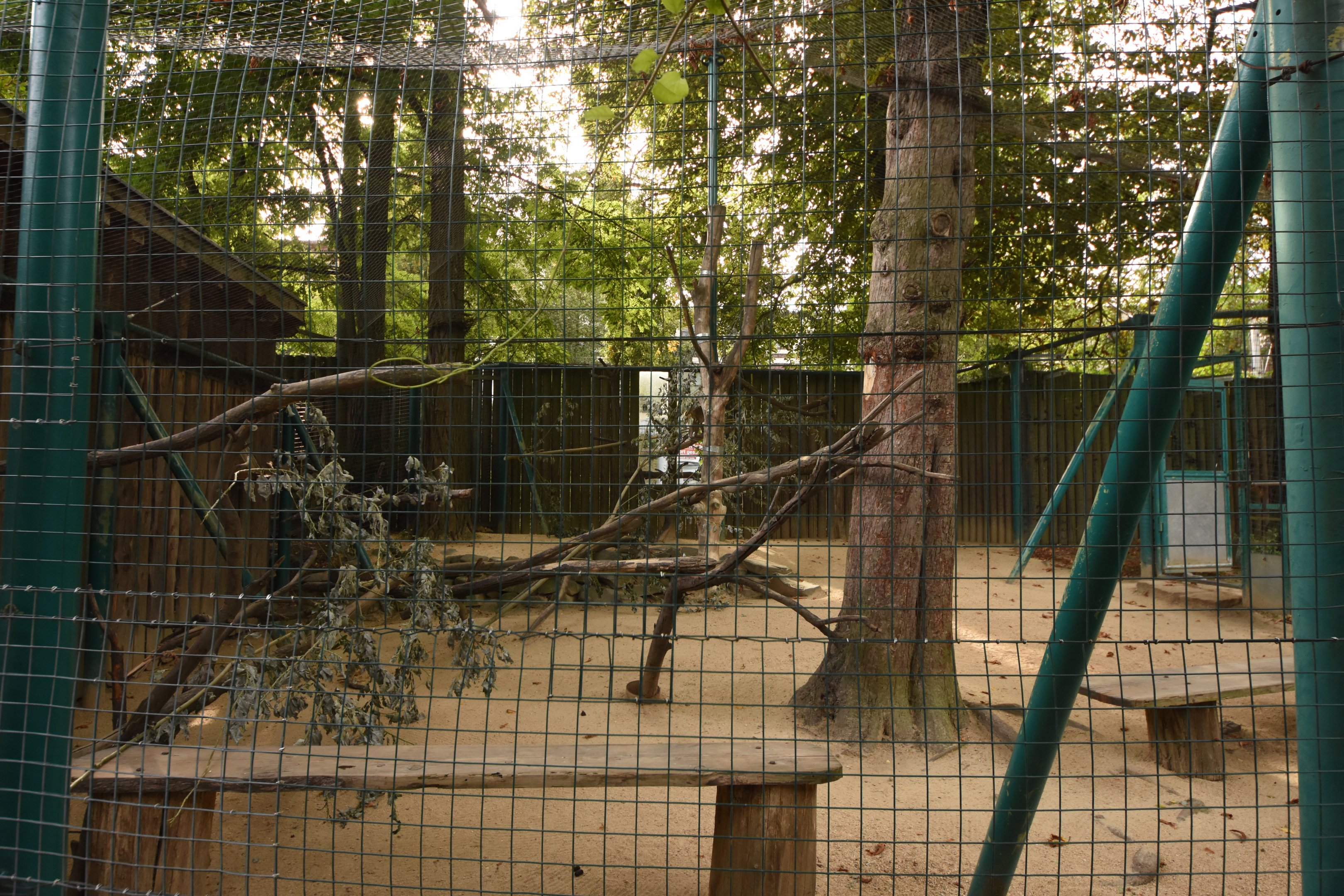 Rhesus macaque separation cage