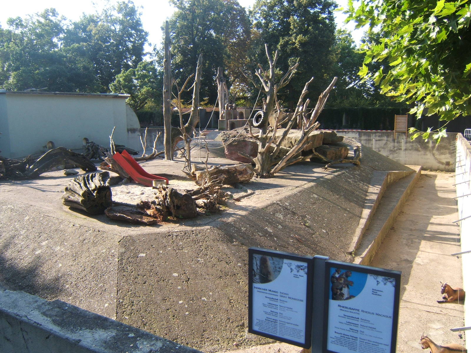 Rhesus monkey and Indian Grey Mongoose enclosure