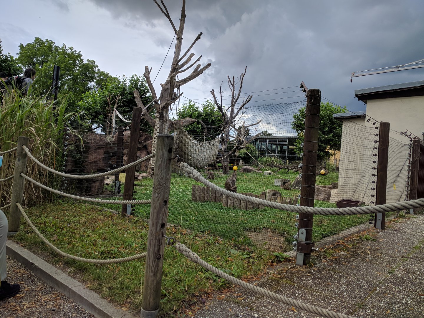 Rhesus Monkey Enclosure