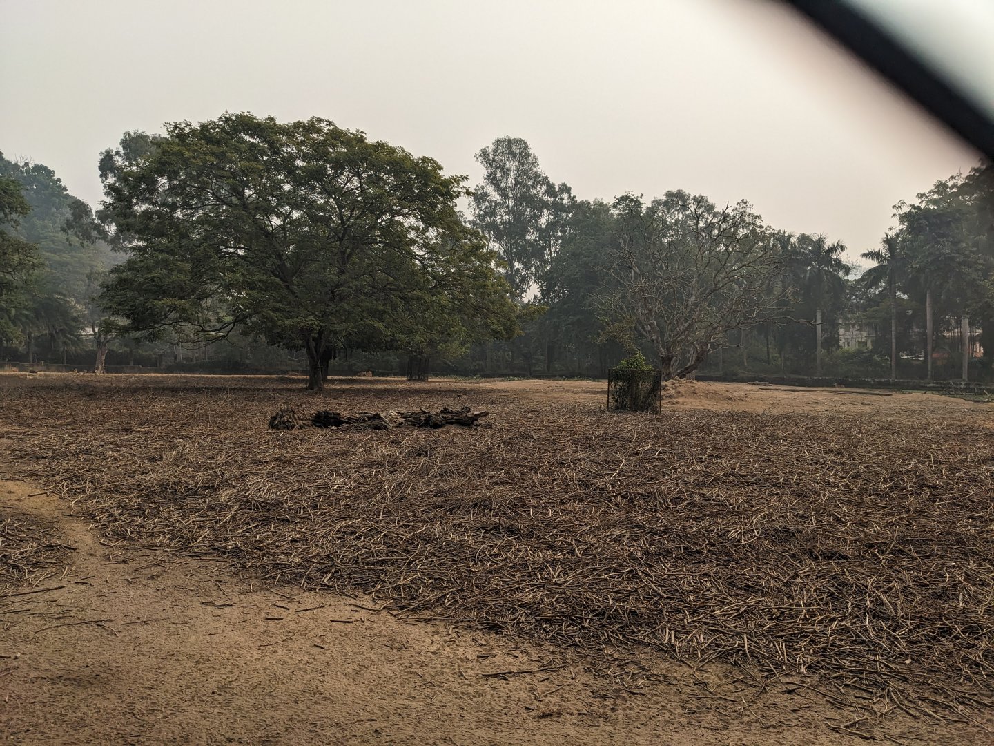 Rhino and axis deer pen