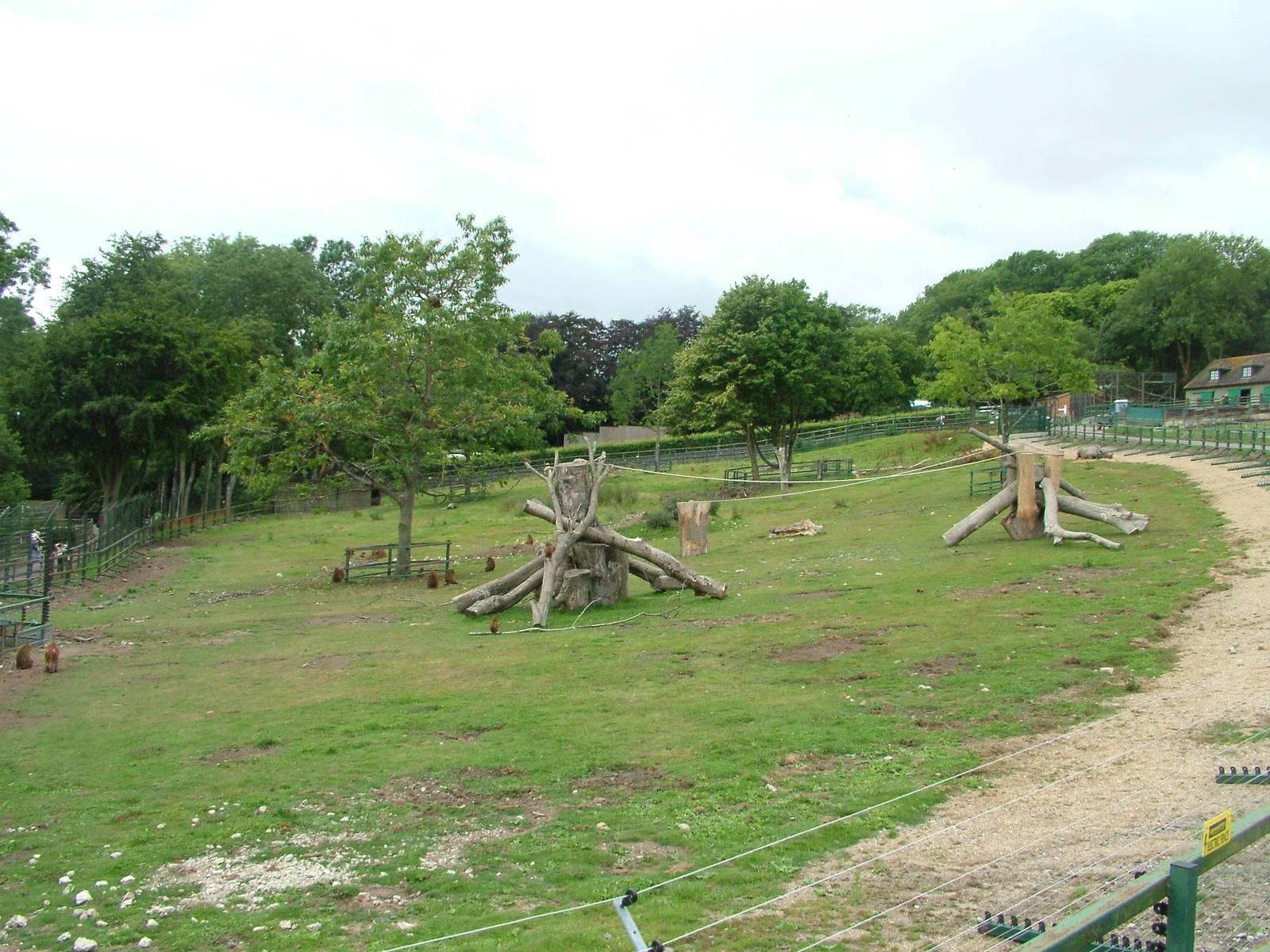 Rhino and Baboon Mixed Exhibit at Port Lympne, 01/08/10
