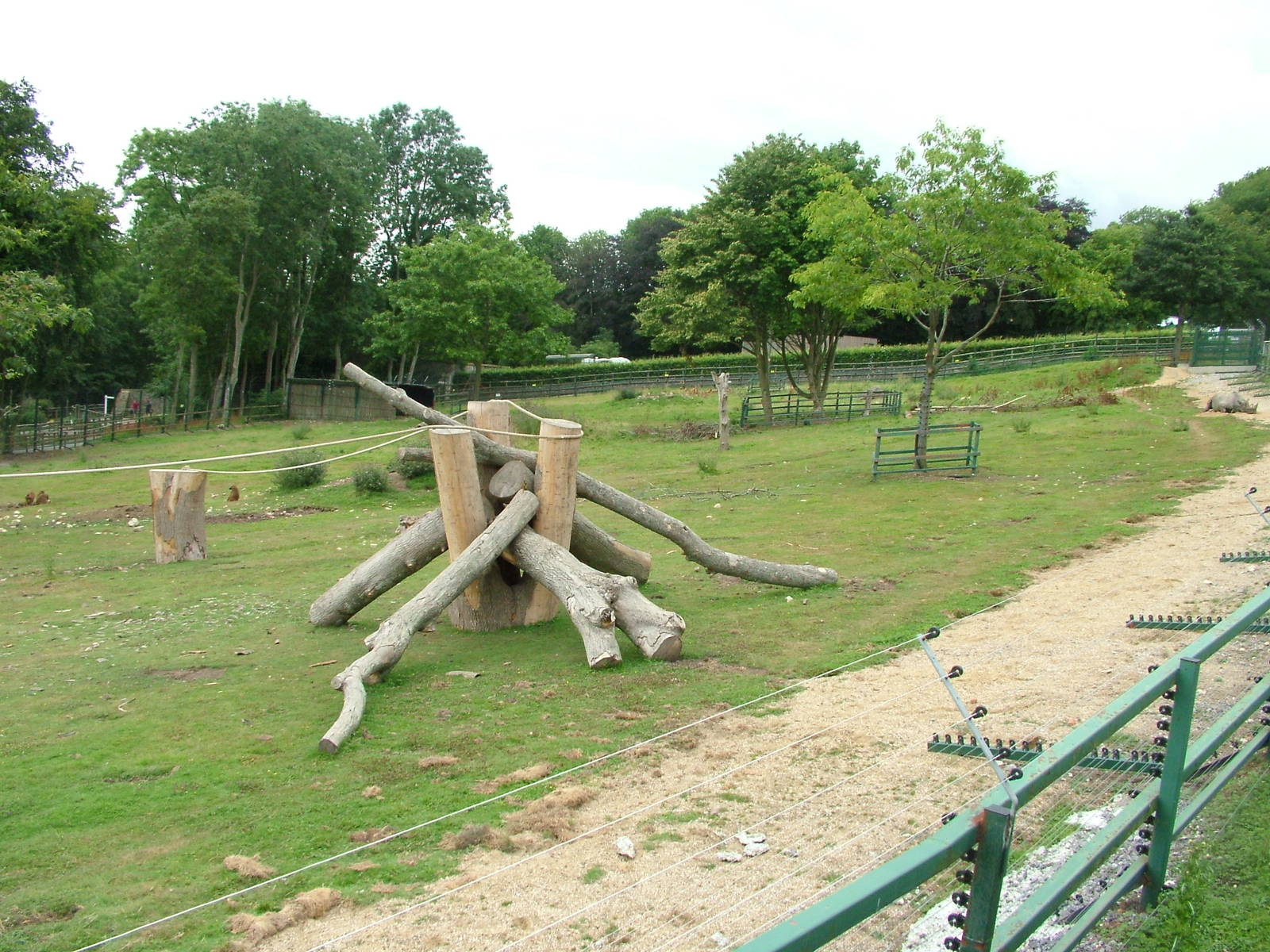 Rhino and Baboon Mixed Exhibit at Port Lympne, 01/08/10