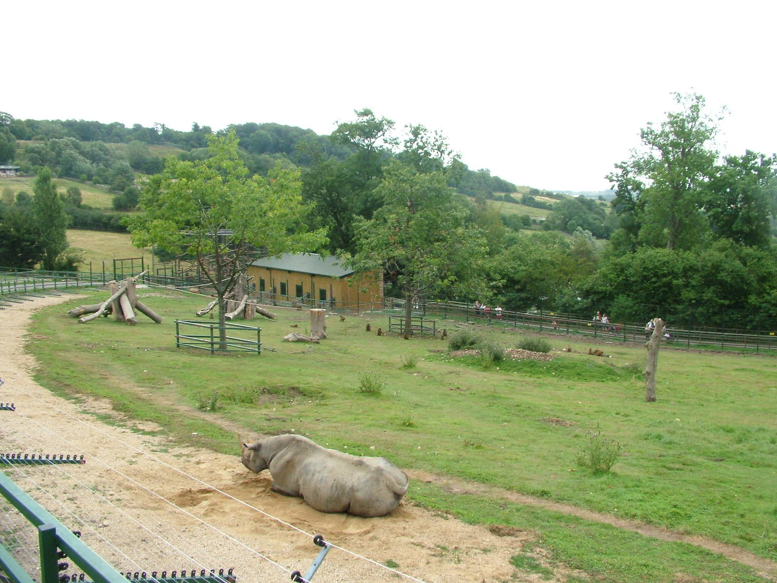 Rhino and Baboon Mixed Exhibit at Port Lympne, 01/08/10