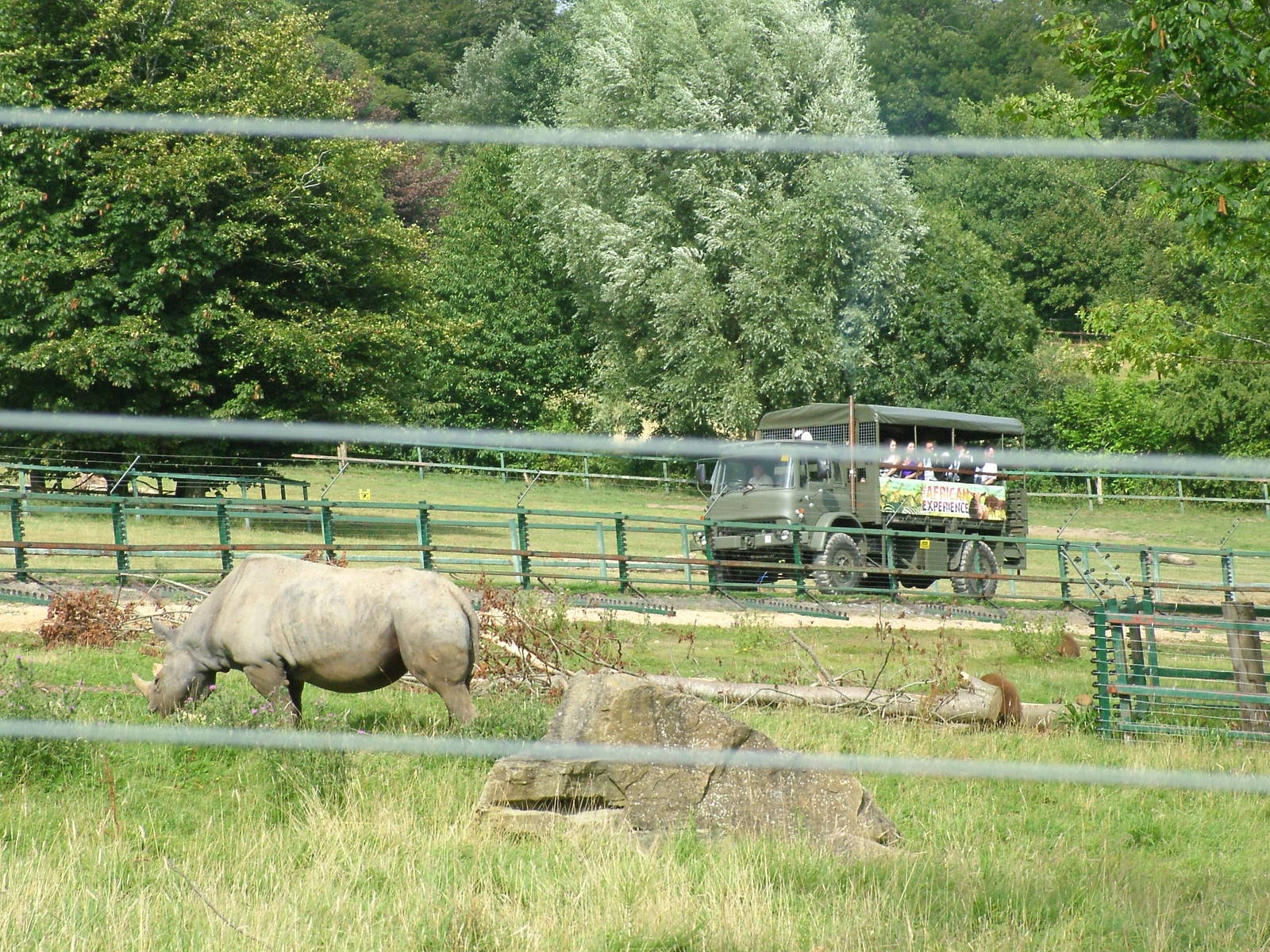 Rhino and Baboon Mixed Exhibit at Port Lympne, 01/08/10