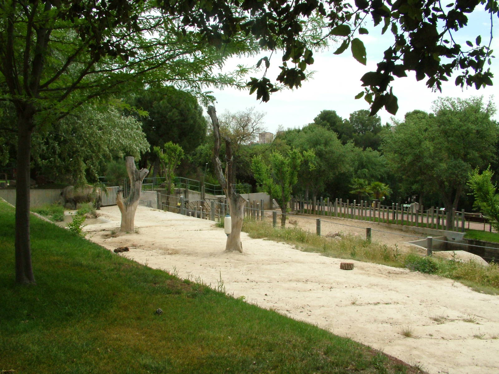 Rhino and Hippo Paddocks at Madrid Zoo Aquarium, 26/05/11