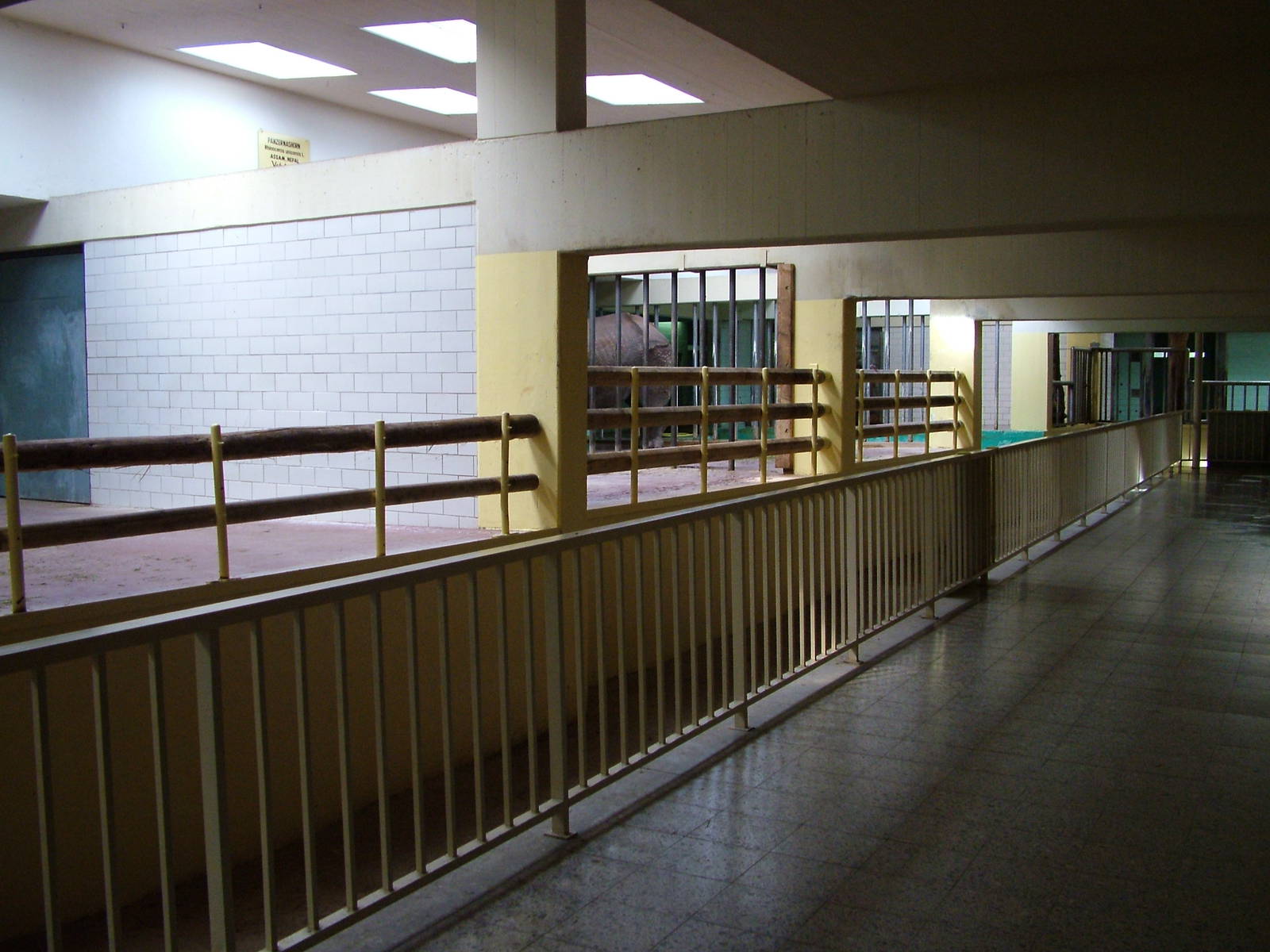 Rhino and Tapir House Interior at Berlin Zoo, 31/08/11