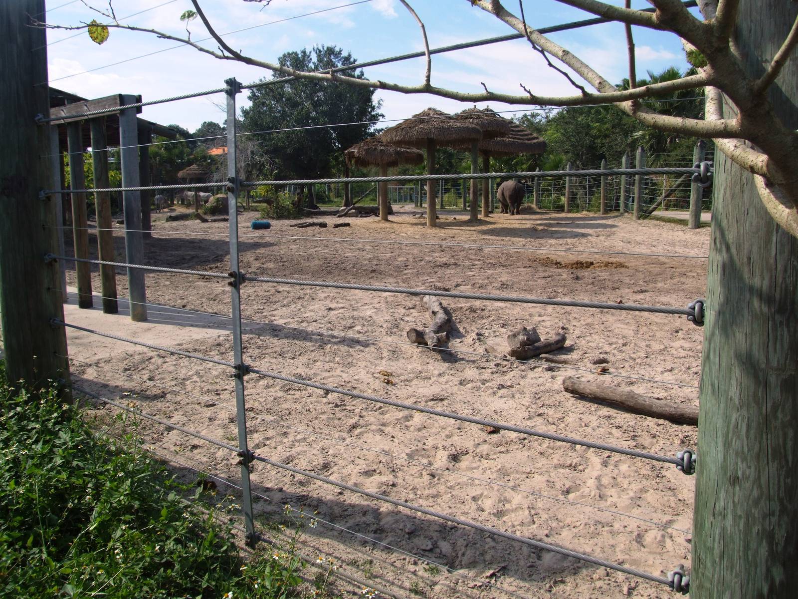 Rhino and Zebra Exhibit at Lowry Park, 13/10/13