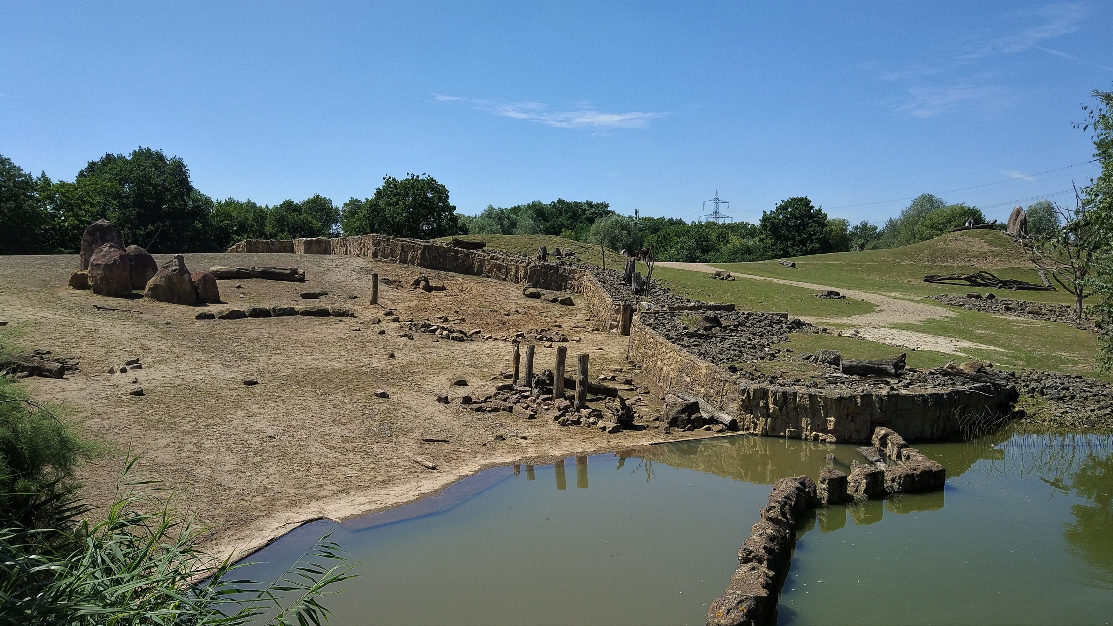 Rhino Area - Savannah