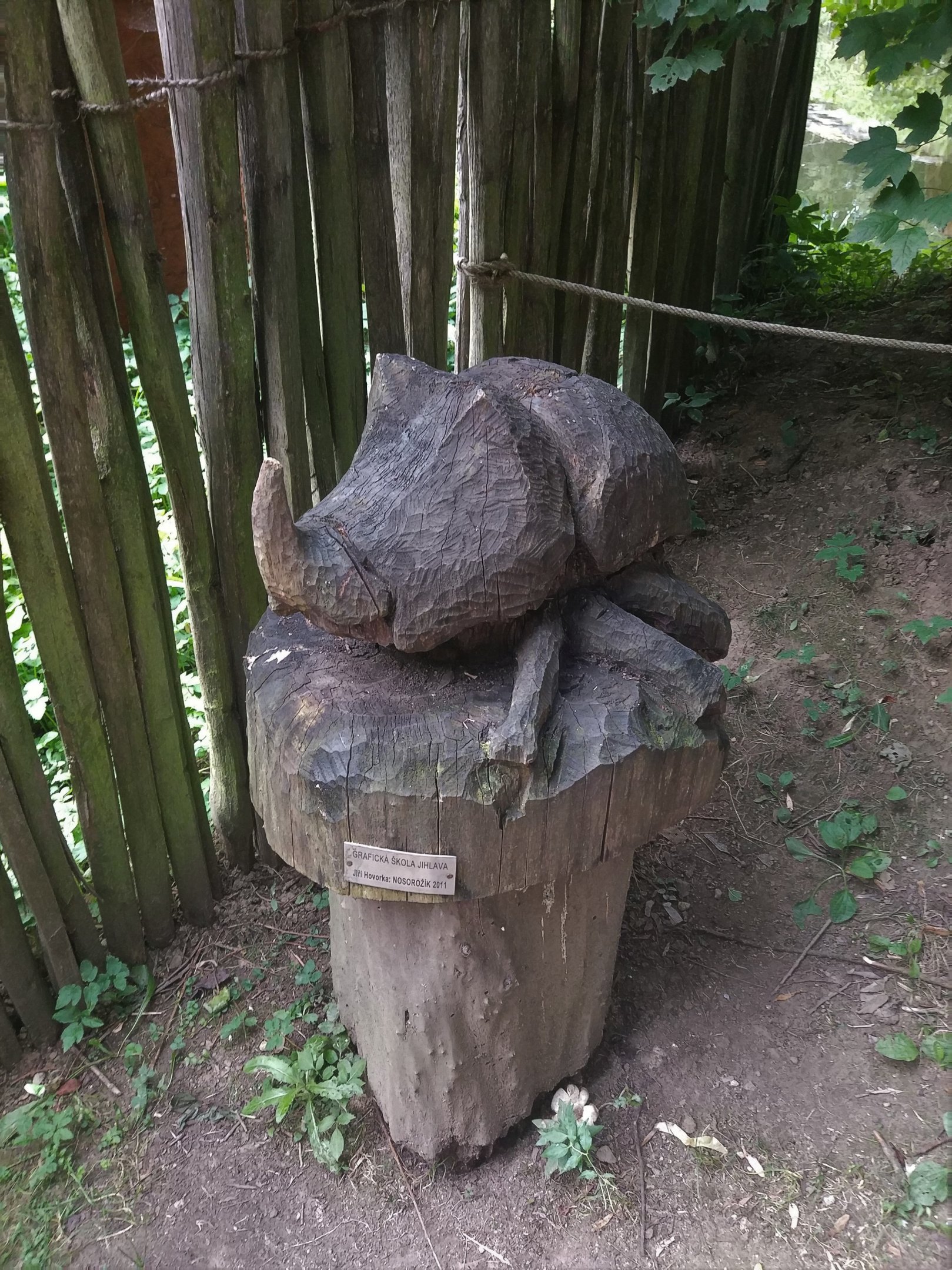 Rhino Beetle Carving