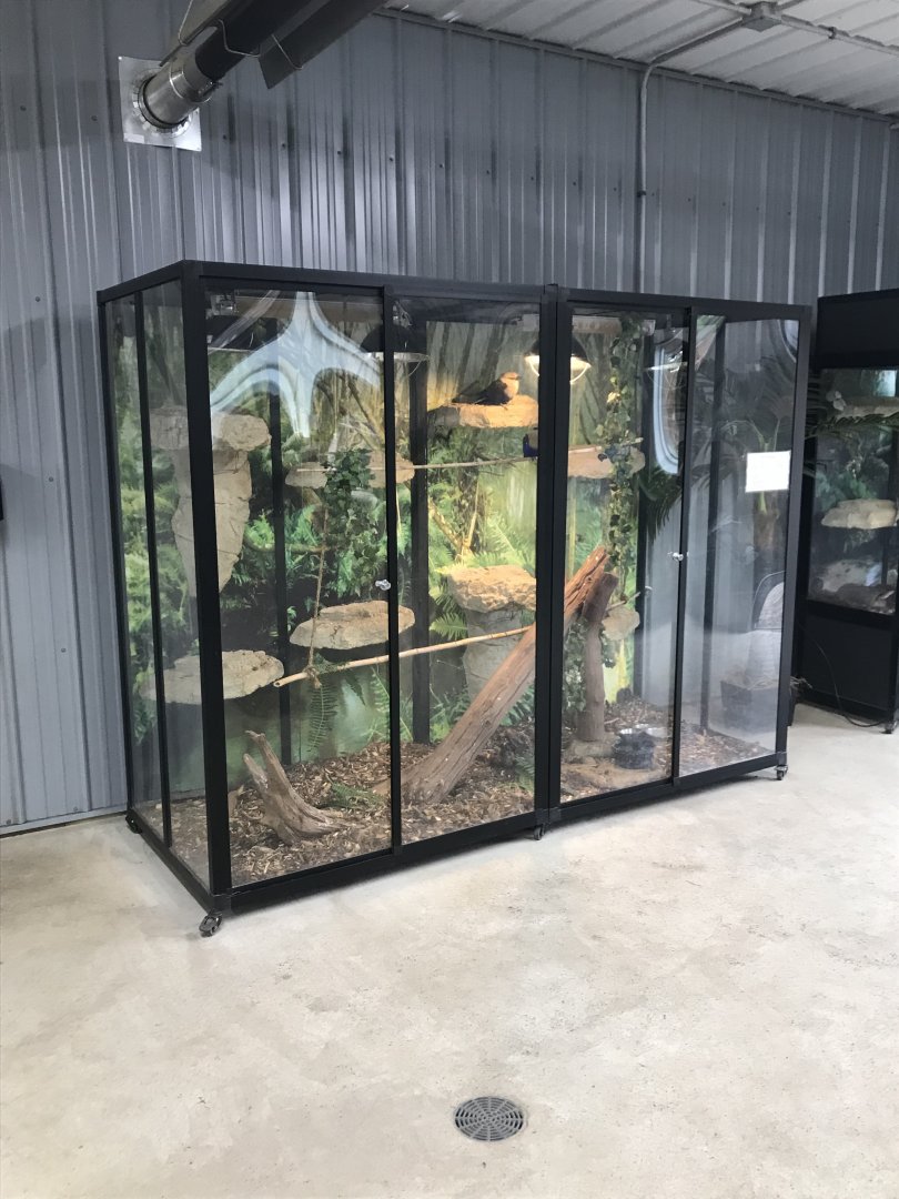 Rhino Building- Blue-Bellied Roller Exhibit